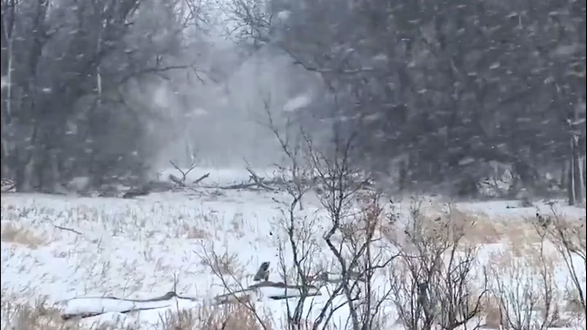 Heavy snow fell on Dumont, Minnesota, covering the brush alongside the road on Jan. 24.