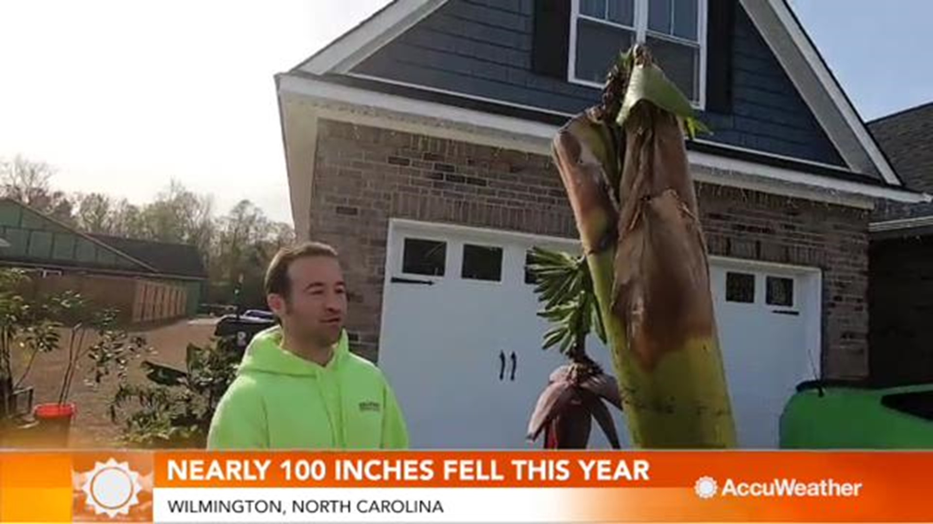 Wilmington, North Carolina has seen nearly 98 inches of rain so far this year.  That's nearly double the average of over 57 inches, and the previous rainfall record that has stood for over 140 years of 83.65 inches fell before fall. Jonathan Petramala has