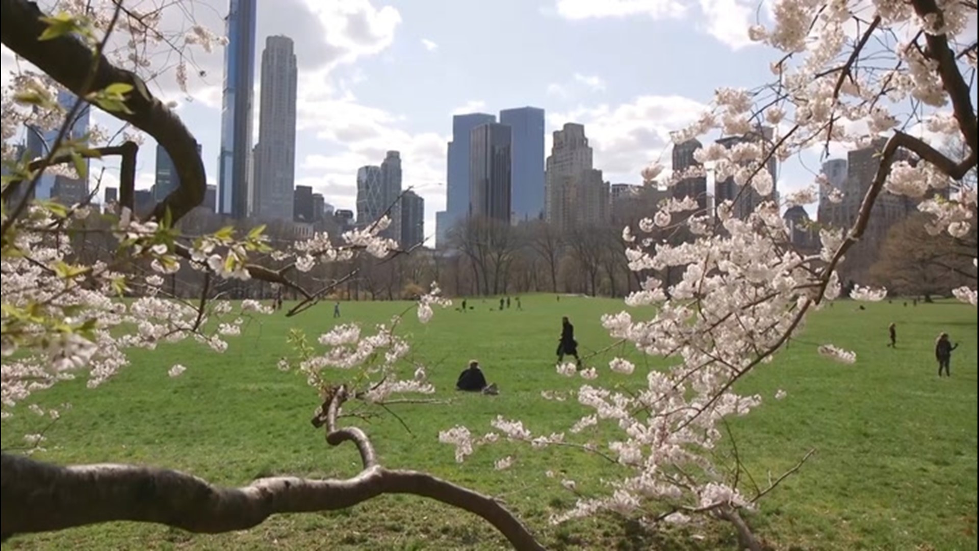 As we celebrate the 50th anniversary of Earth Day, AccuWeather's Dexter Henry explores the history of one of our country's iconic outdoor spaces.