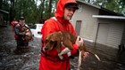 Saving pets without a permit: Good Samaritan arrested after helping animals survive Florence