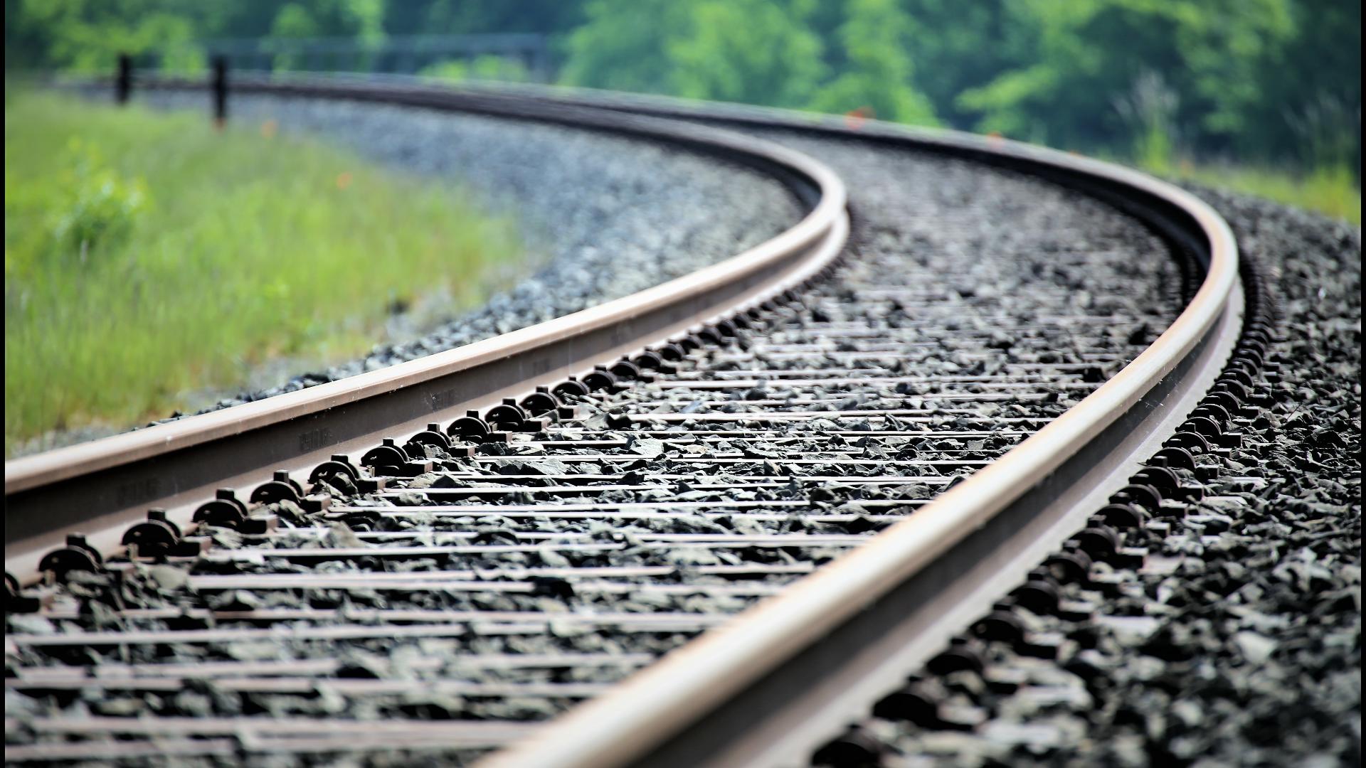 A New Jersey Transit commuter train struck a tree on the tracks Monday, leaving the train operator dead and more than a dozen people injured.