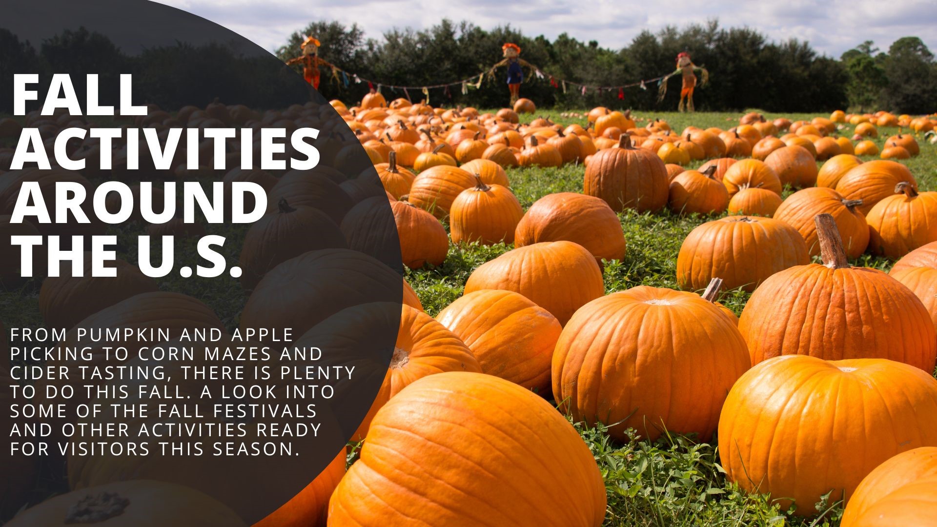 From pumpkin and apple picking to corn mazes and cider tasting, there is plenty to do this fall. A look into some of the fall festivals happening across the U.S.