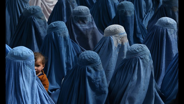 images by afp photographer killed in suicide bombing