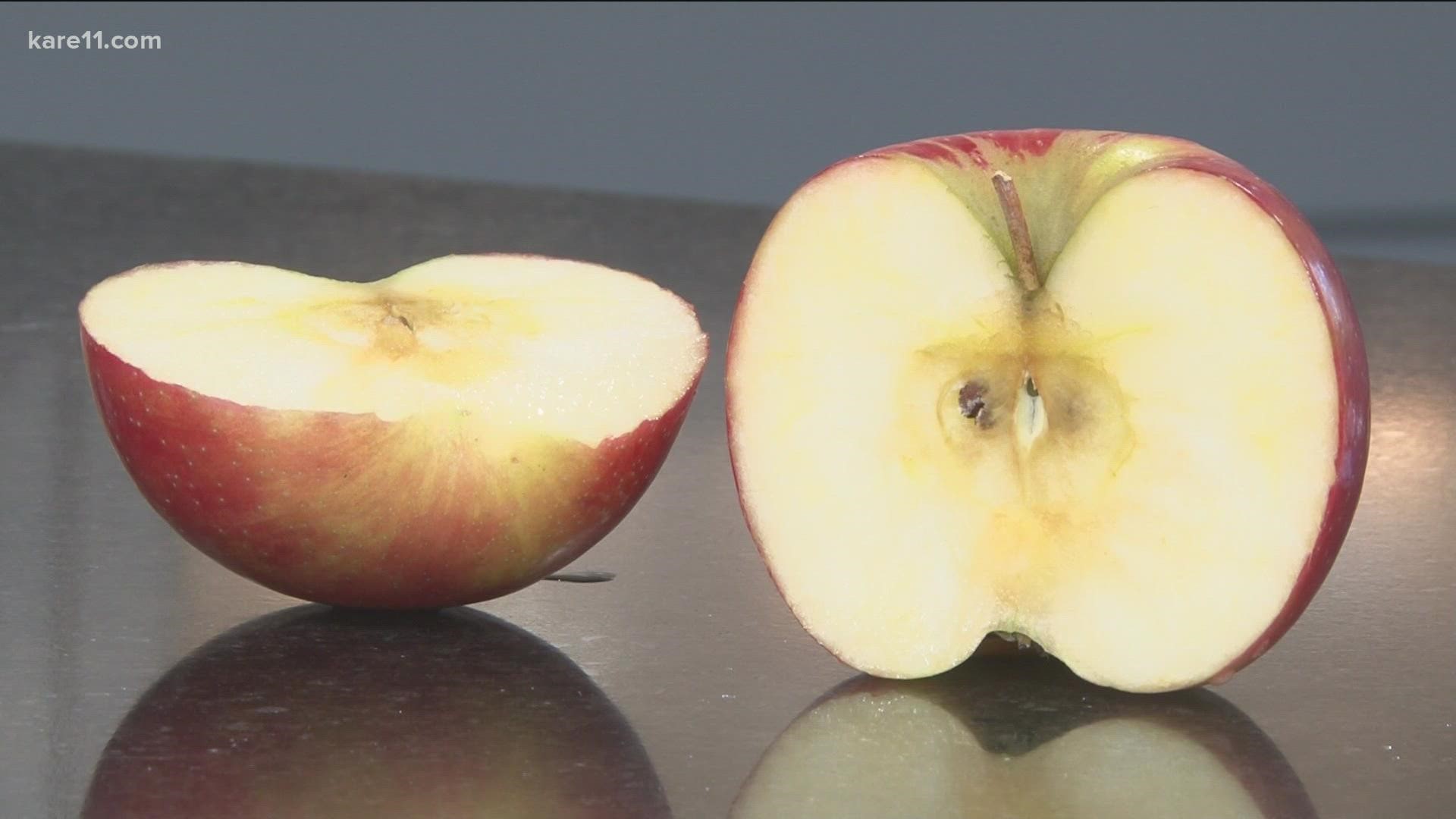 U of M researchers were able to make links through DNA, but for one parent of the beloved apple, there would never be a reunion.