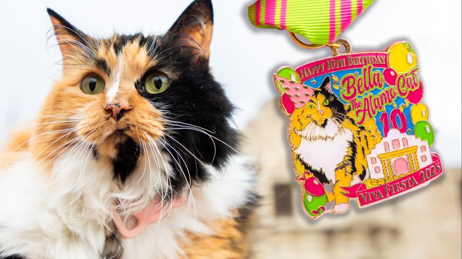 The calico beauty lives on the grounds and has a staff that takes care of all her needs.