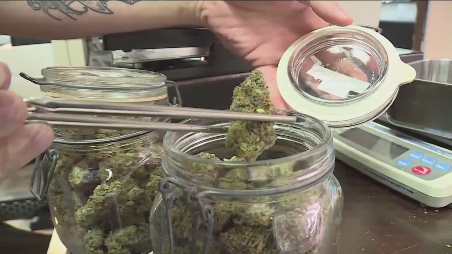 A NEW RECREATIONAL MARIJUANA DISPENSERY OPENS JUST MINUTES AWAY FROM THE ARKANSAS STATELINE IN PINEVILLE, MISSOURI.