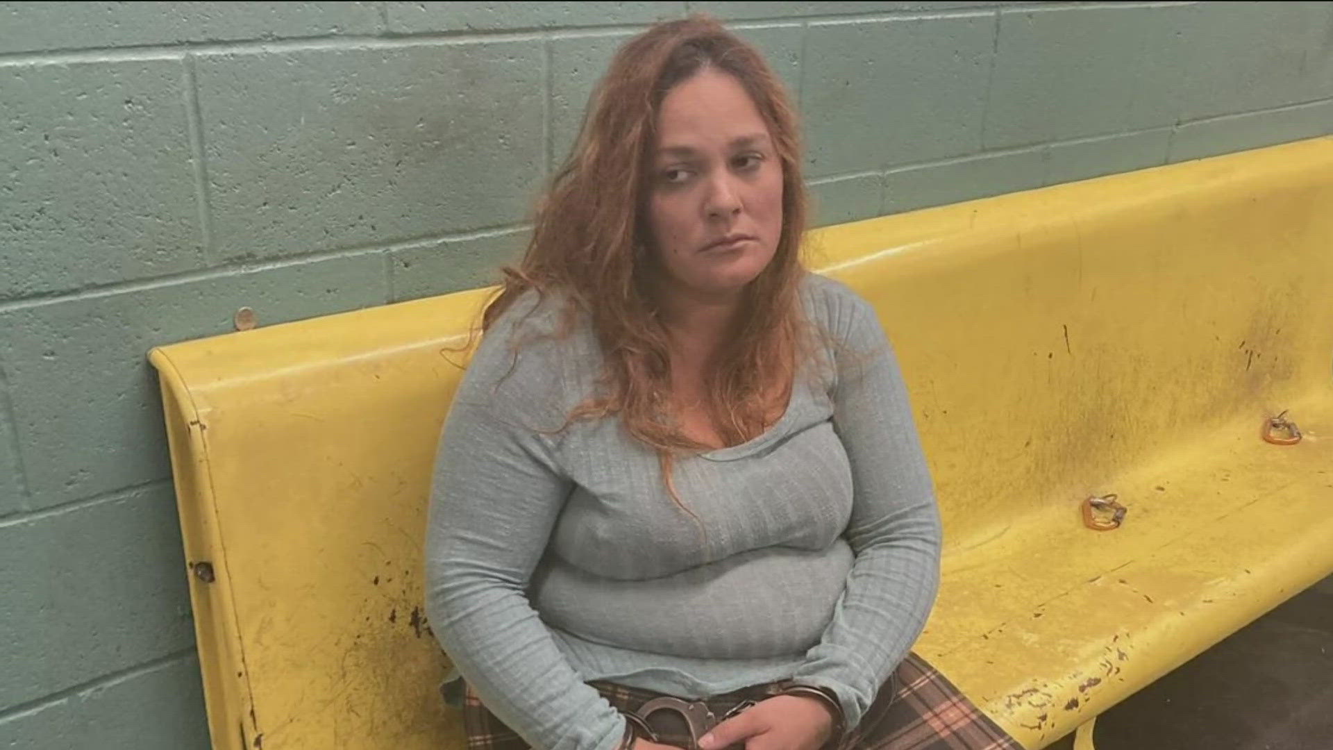 Arkansas woman pleads guilty to abducting kids, taking them to ...