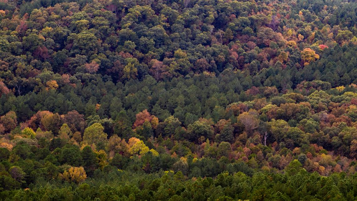 When is fall foliage at its peak in Arkansas?