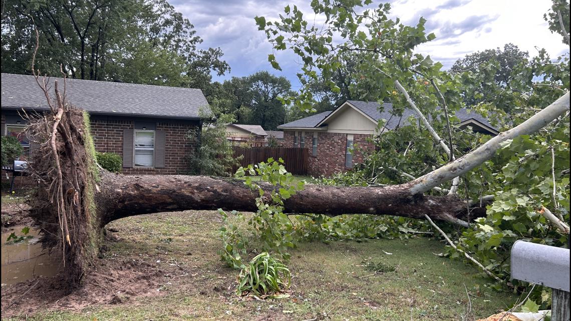 Sanders declares emergency after storms | thv11.com