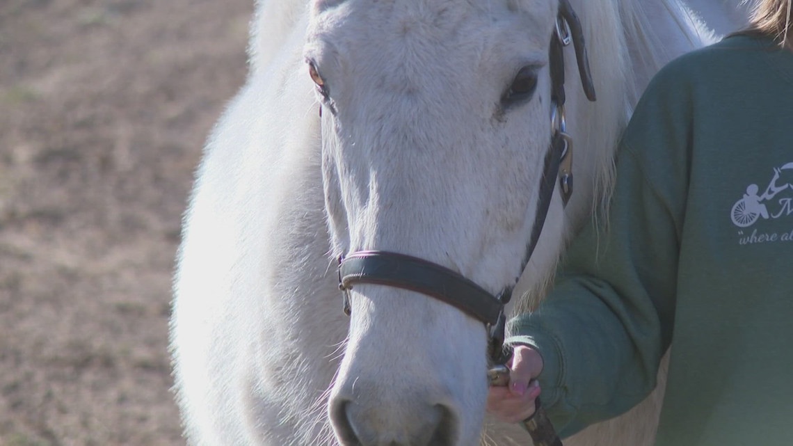 Arkansas equine therapy program officially opens its new home