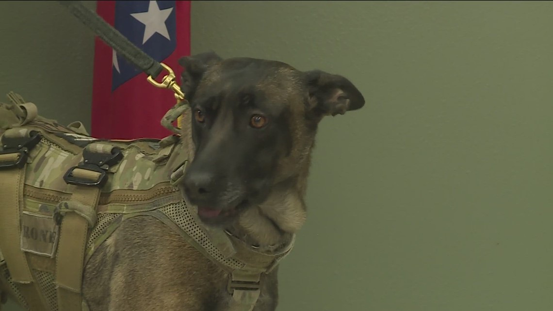 Electronicsniffing K9s in Arkansas combat cybercrime