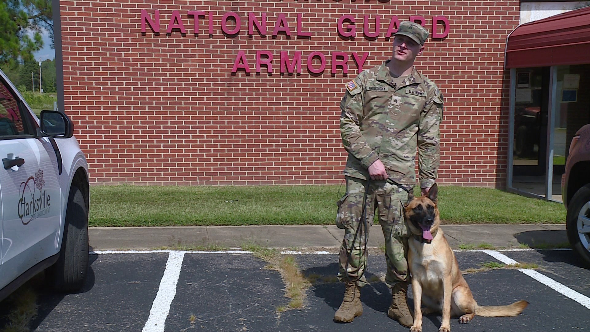 Officials are running the dogs through the tests just to make sure they are in top condition.