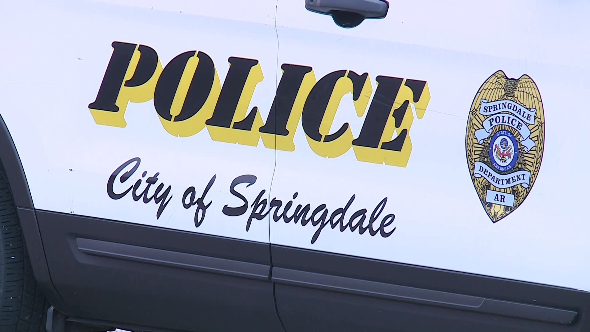 Springdale considers settlement with man allegedly 'permanently disfigured' by police K-9