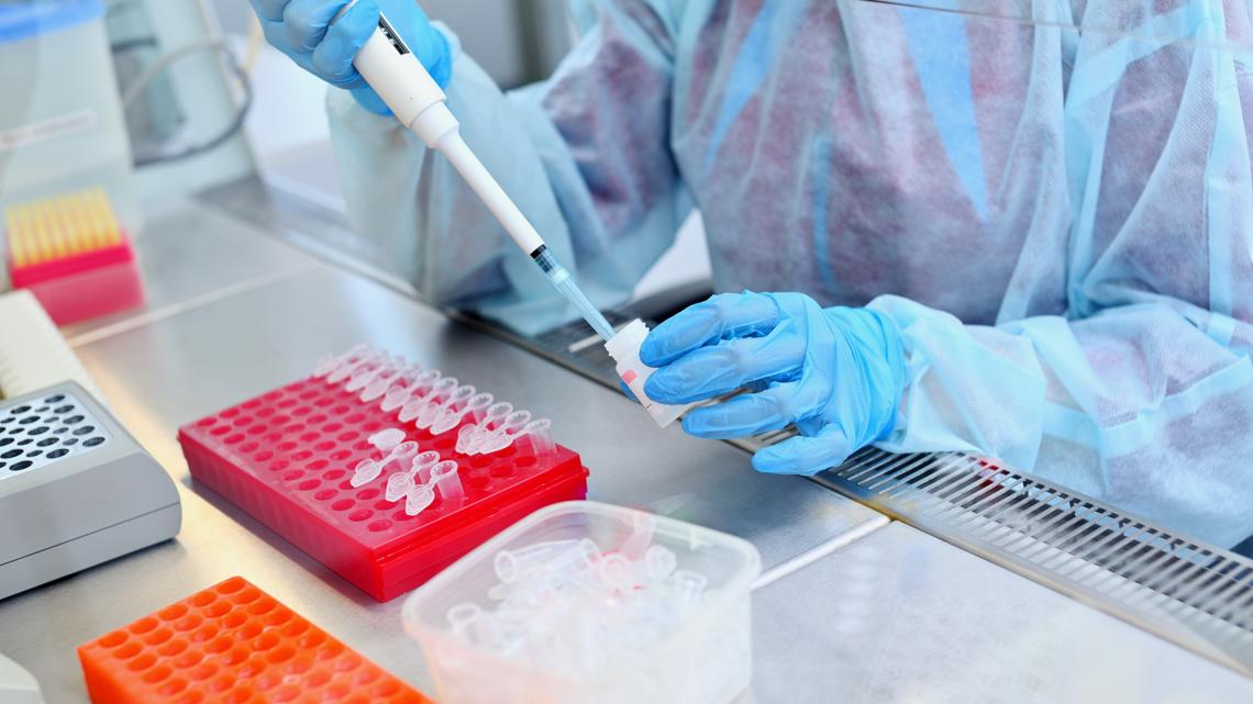 DNA testing company works to identify human remains found near Eureka Springs