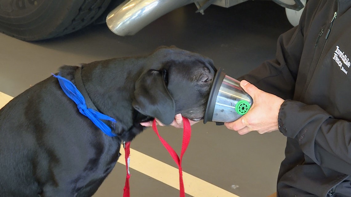 Little Rock Fire Dept. receives pet oxygen masks to aid family pets in