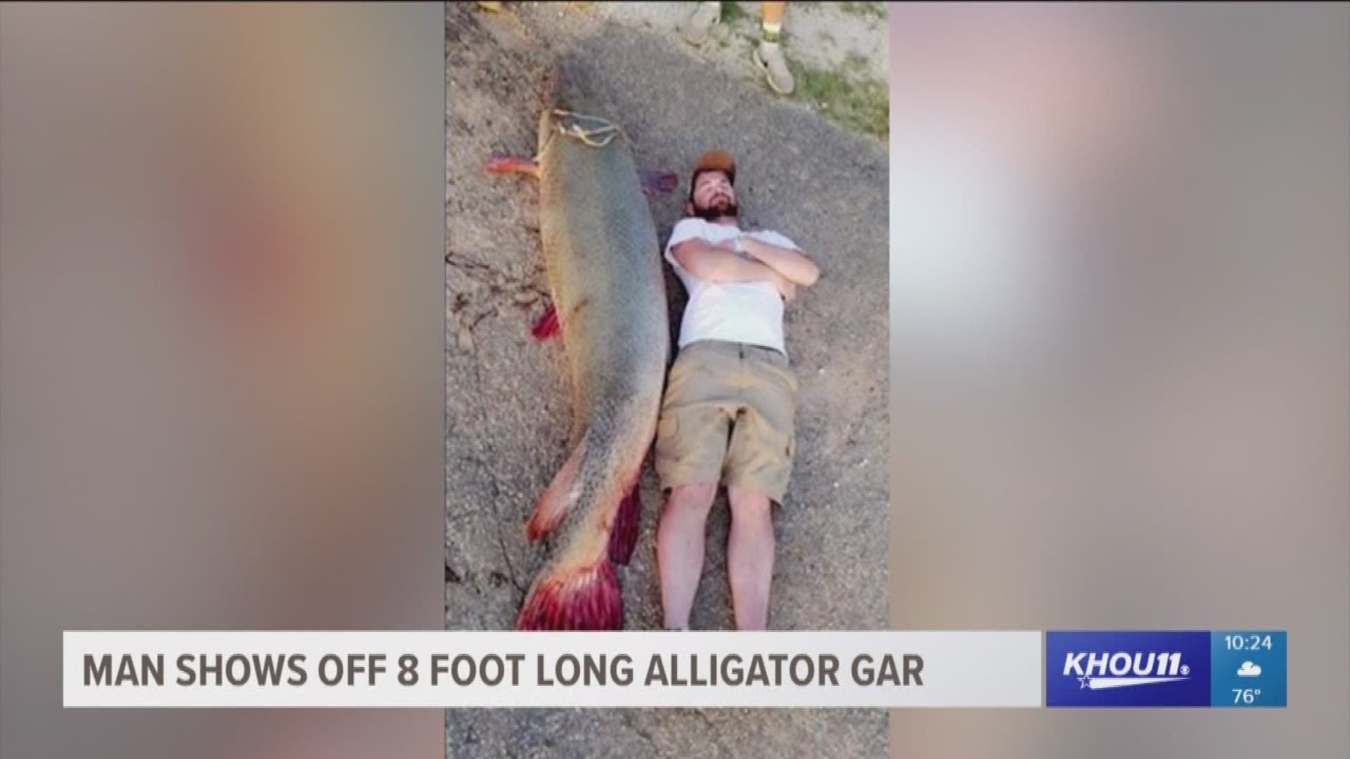 Man shows off 8-foot alligator gar