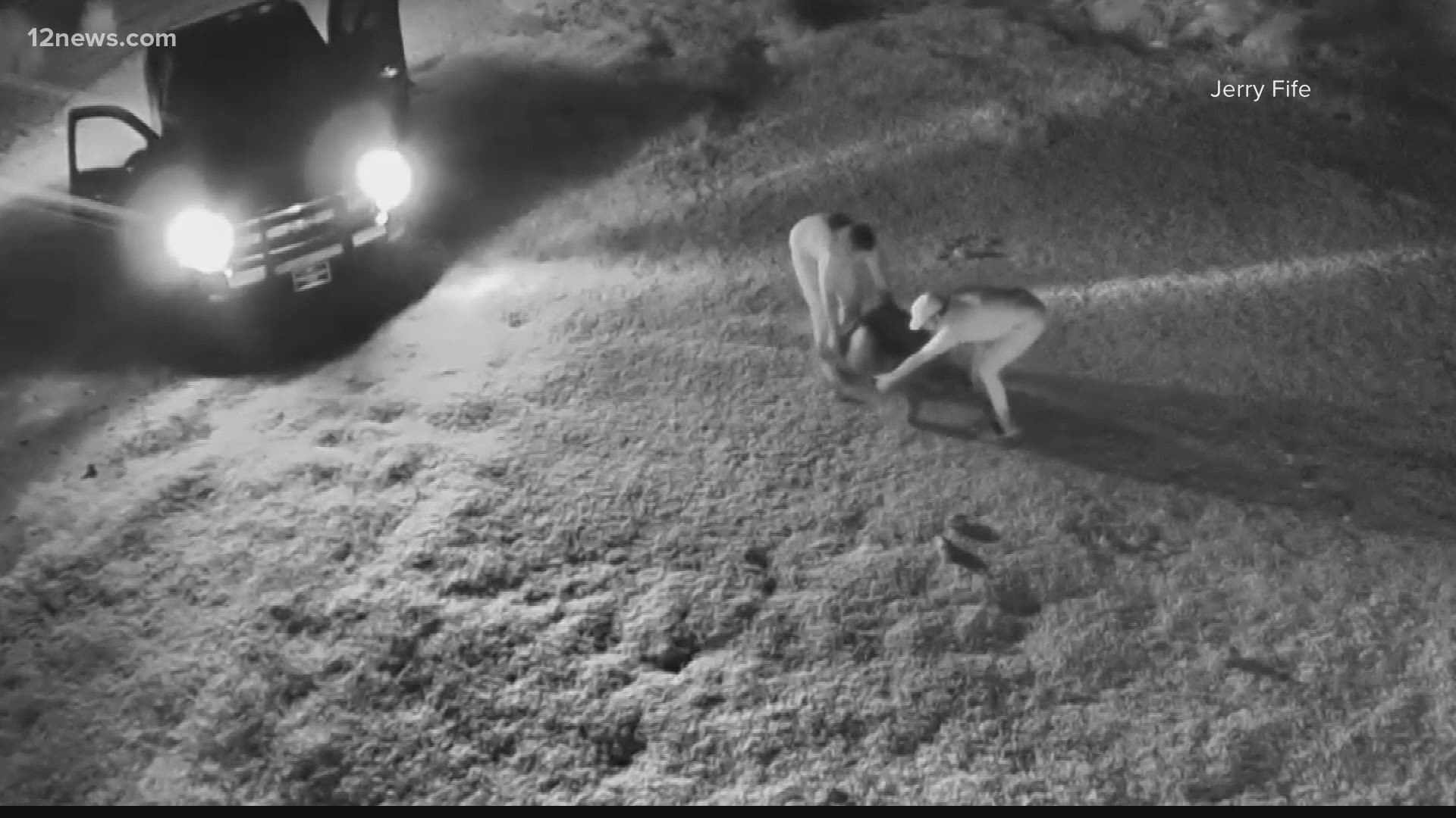 The whole incident was caught on Jerry Fife’s Ring camera and on his cell phone as he chased the thieves out of his yard.