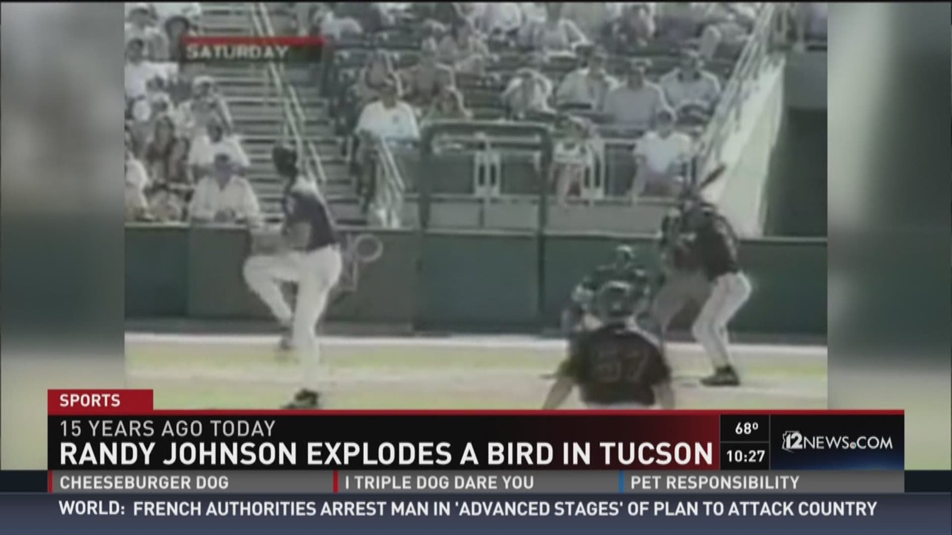 Arizona Diamondbacks' Randy Johnson killed bird 20 years ago in game