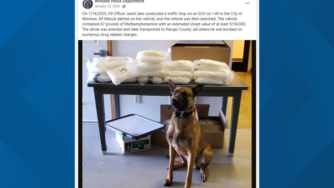 Arizona cop decertified for covering up K-9's reproductive status - Vimarsana News