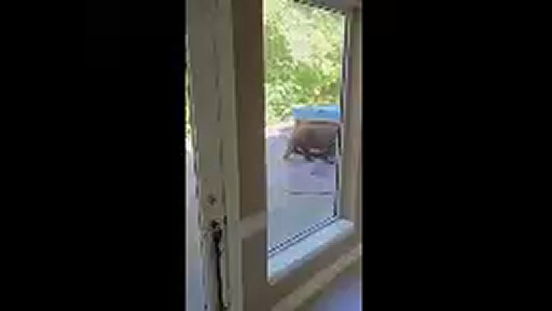 The Monroe County Sheriff’s Department is warning residents about a bear in the area of Chantilly Village Thursday morning. Video courtesy: Elizabeth Eggemeyer.
