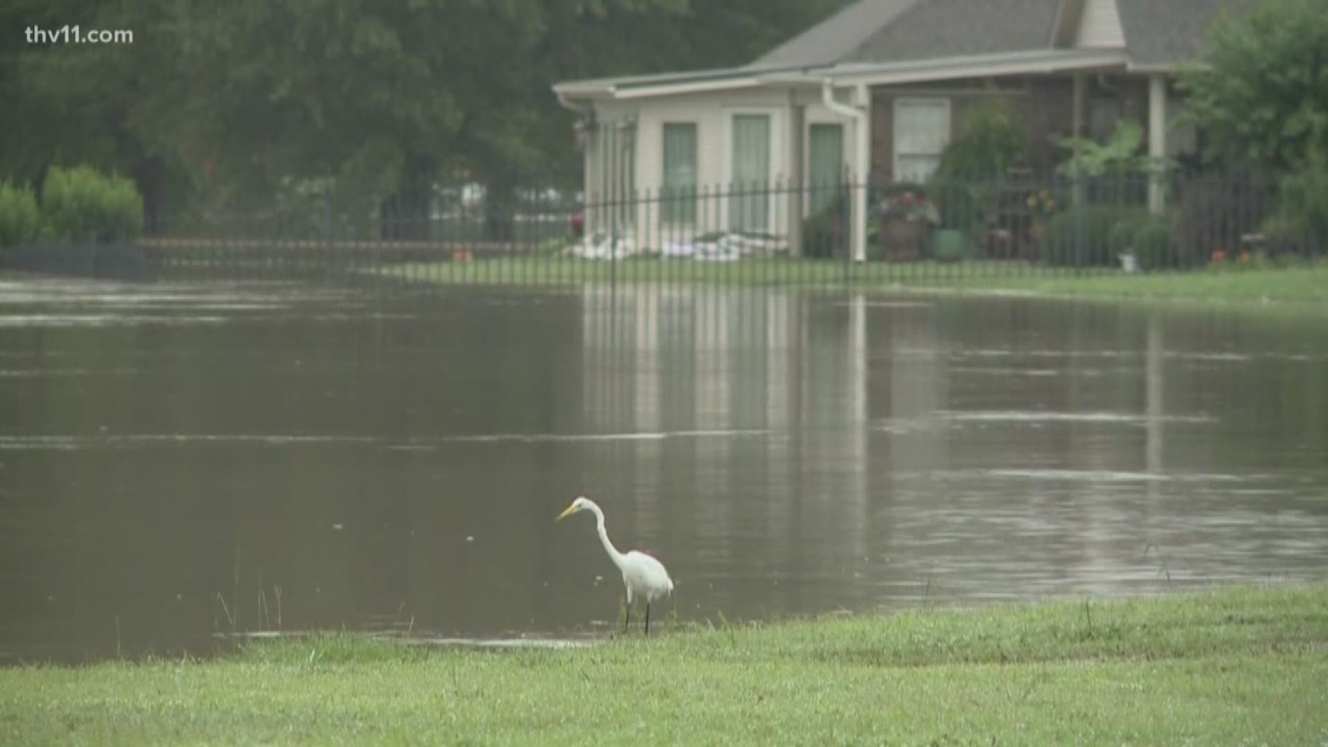 It'll be weeks before the water recedes to its normal level in Pine Bluff, and that'll put pressure on the levee system, creating some concerns.