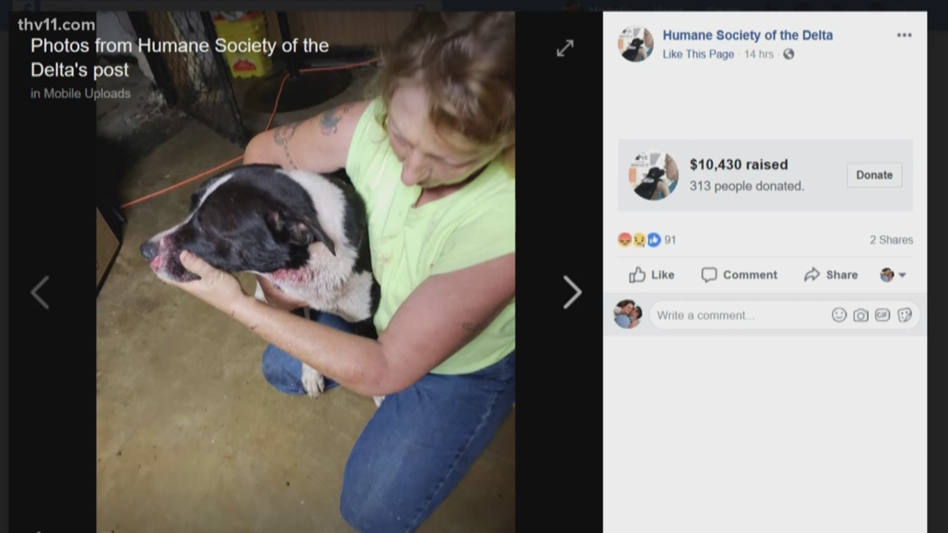 For the second time in two weeks - an animal shelter says someone has broken into their facility to use dogs there for dogfighting.