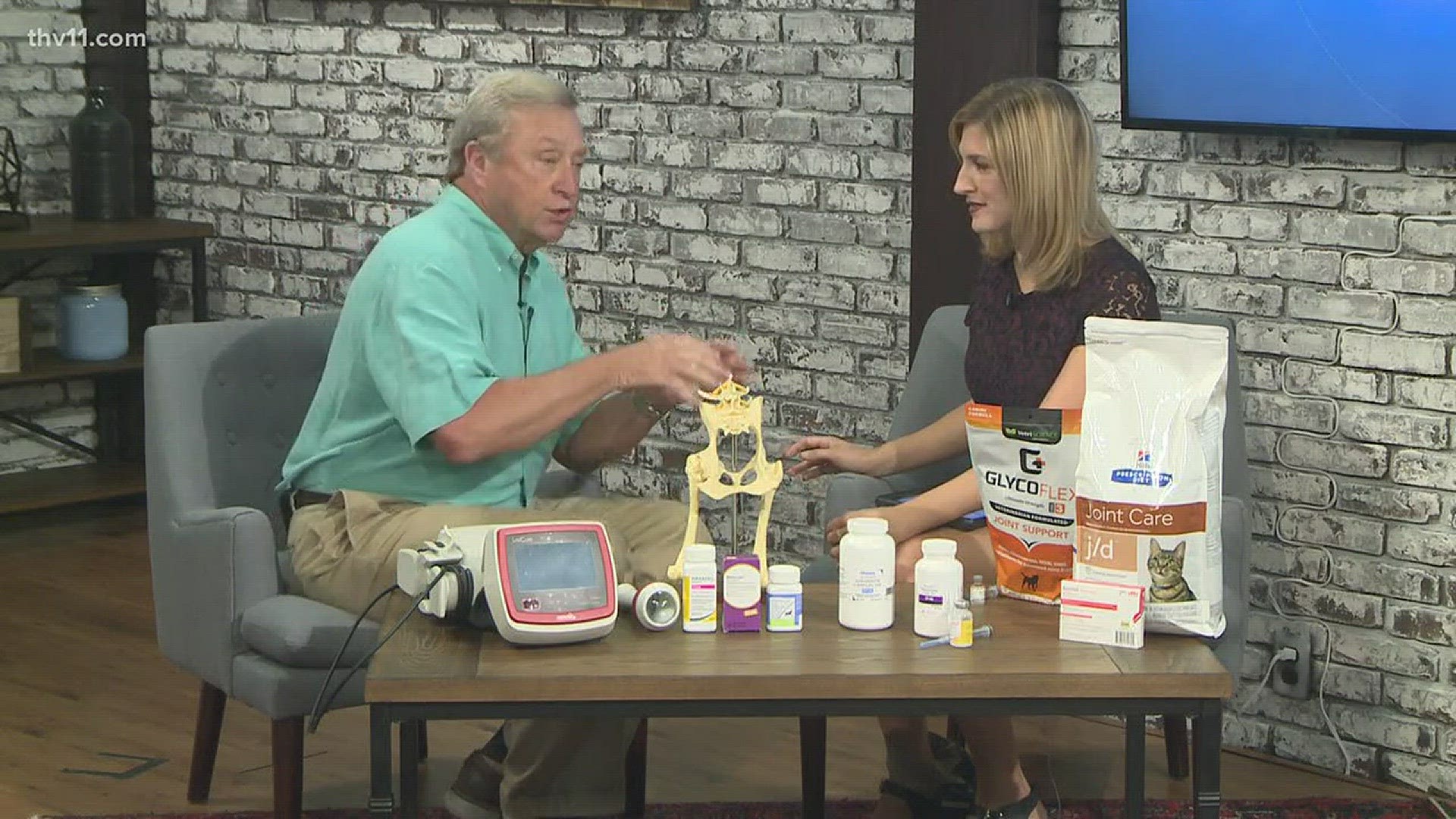 Dr. Bob shows us many options for pets with joint pain.