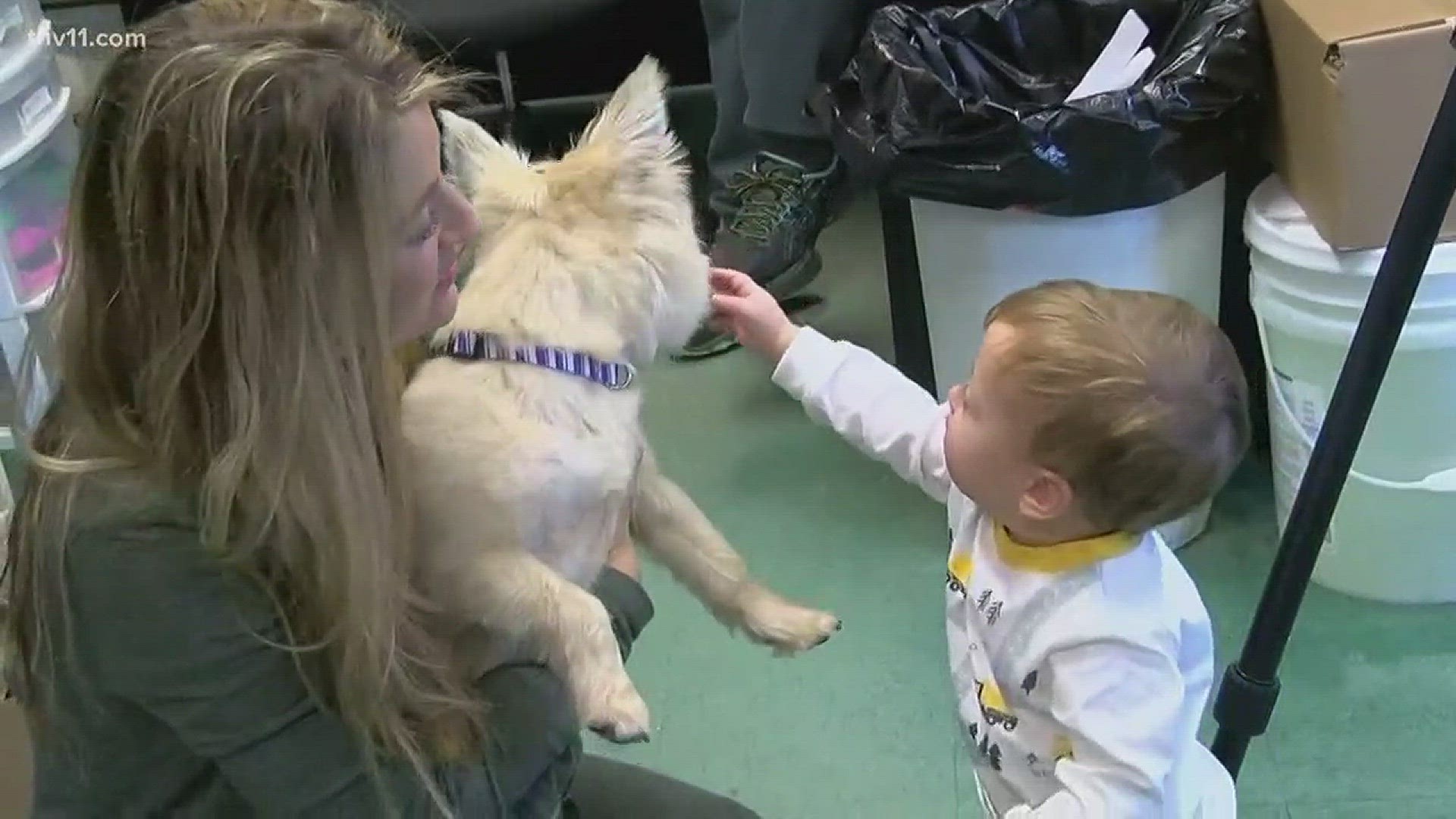 A dog that was separated from his family for more than three years has been reunited with his family.