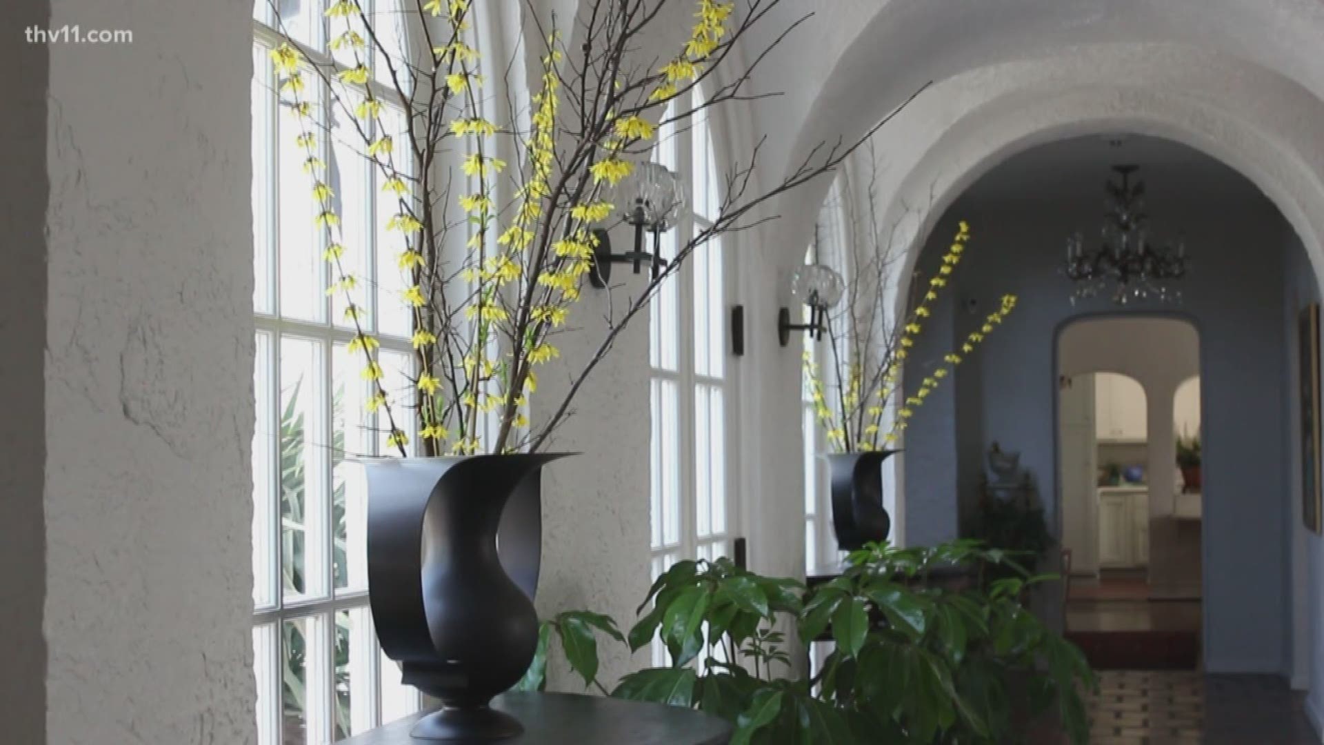Chris H. Olsen has filled his home, the historic Edgemont House in North Little Rock, with several different types and sizes of plants.