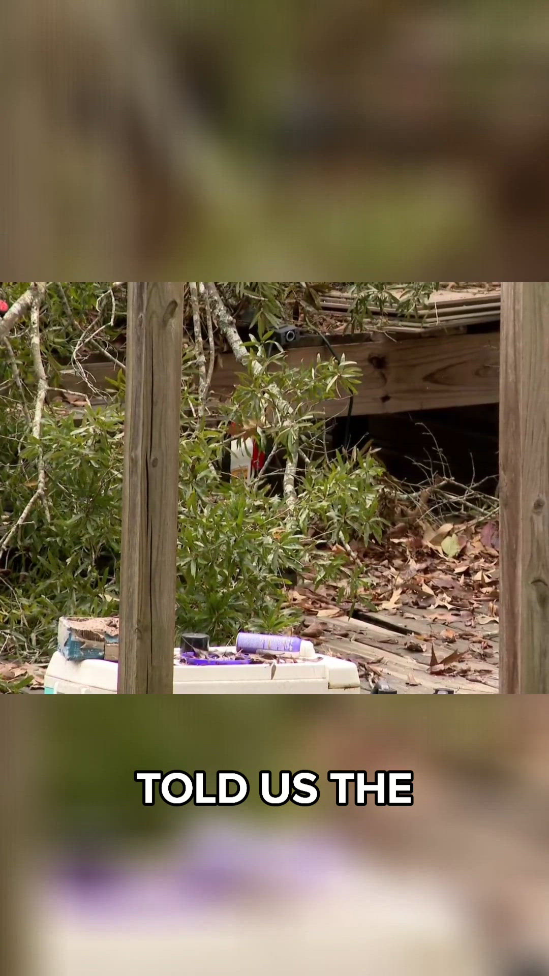 Arkansas woman dies after tree falls on home | thv11.com
