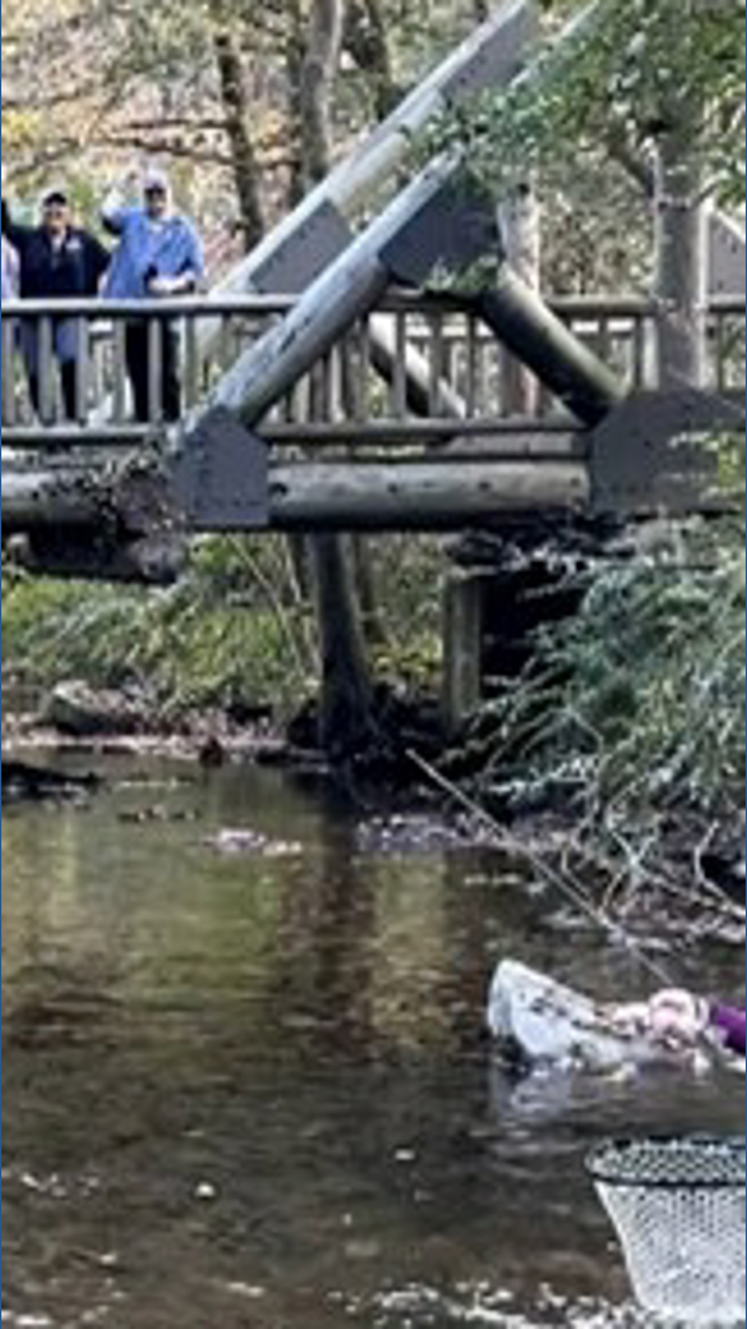 Here's how breast cancer patients use fly fishing to help with recovery ...