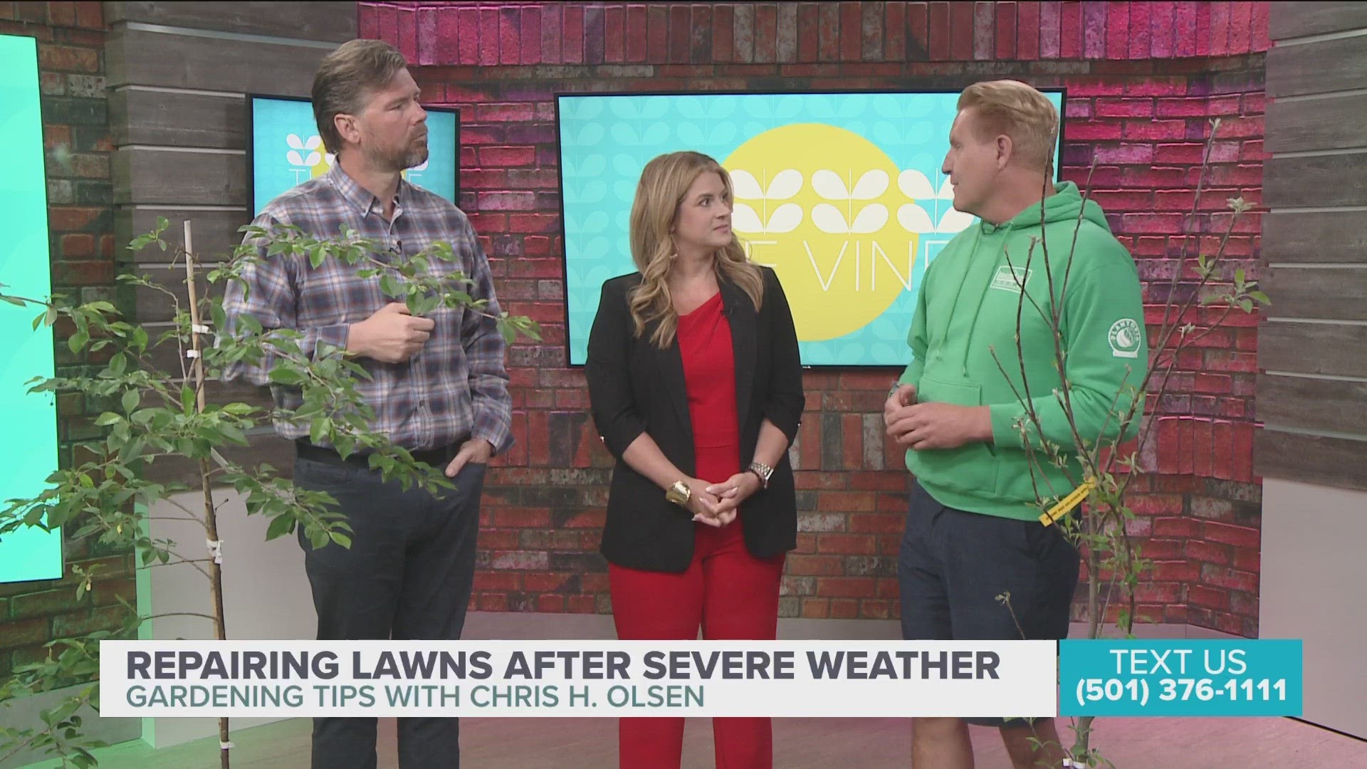 Chris H. Olsen tells us how you can start rebuilding your yard after storms.
