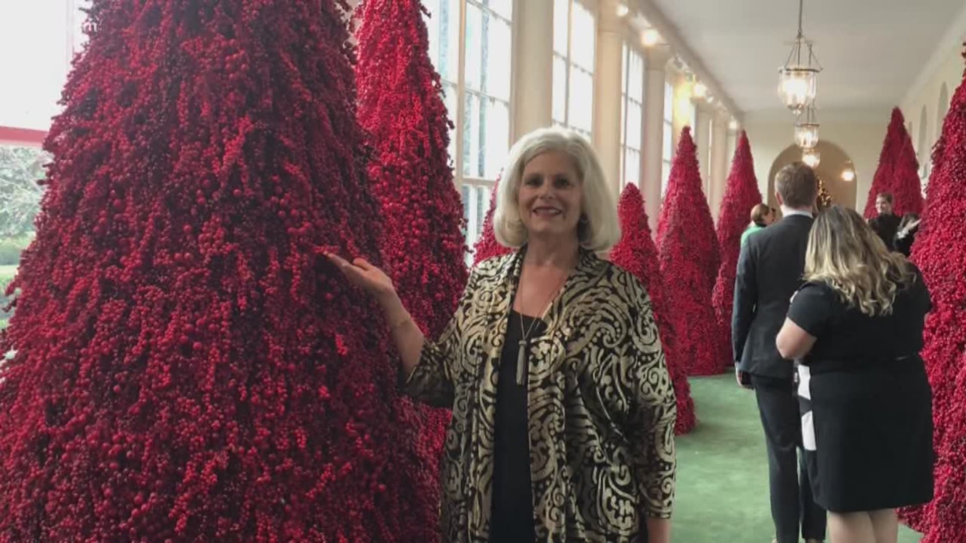 Judy Brooks of Camden helped decorate the White House for Christmas.