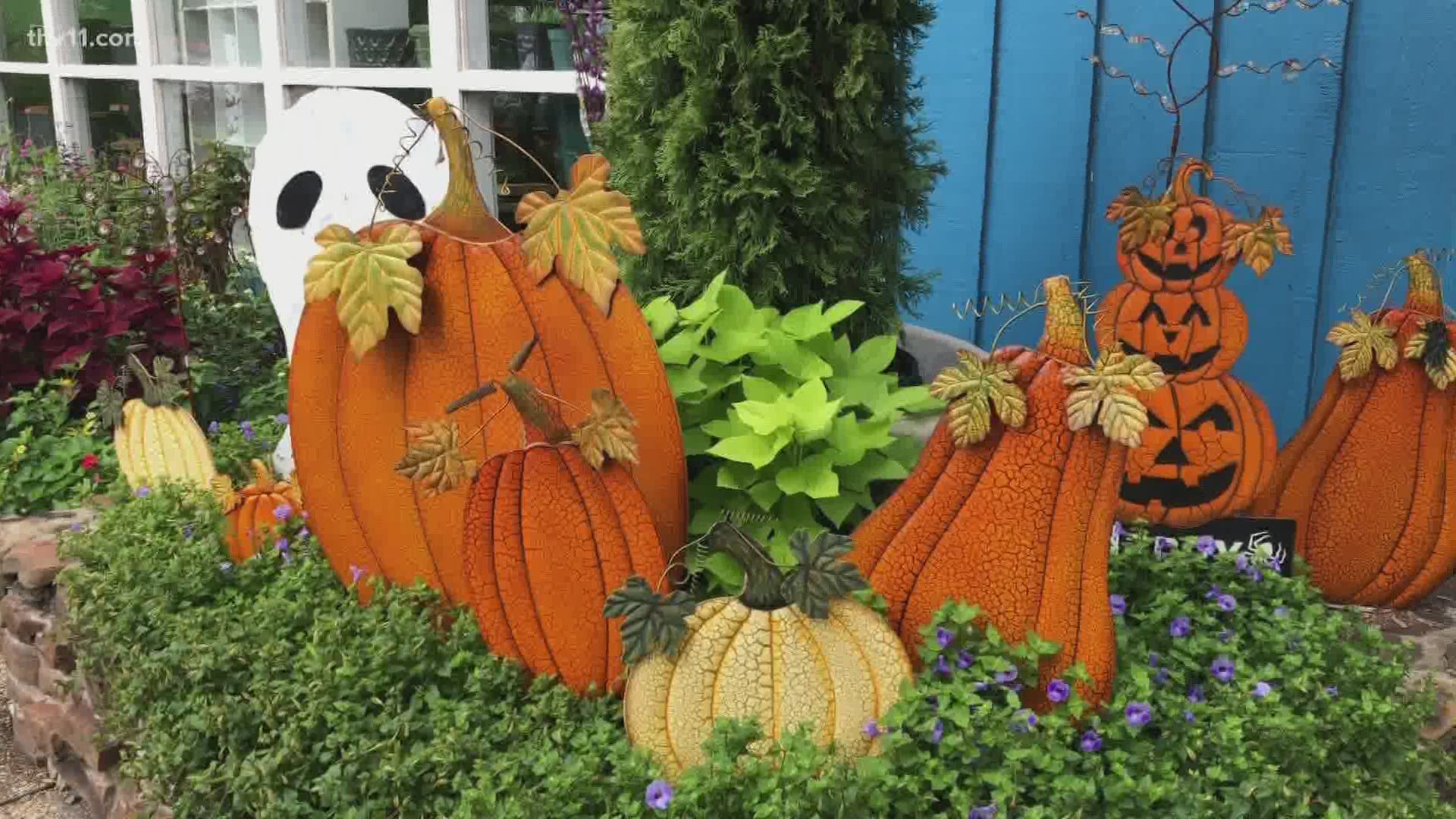 Chris H. Olsen teaches you how to create a pumpkin patch at home with metal art pumpkins.