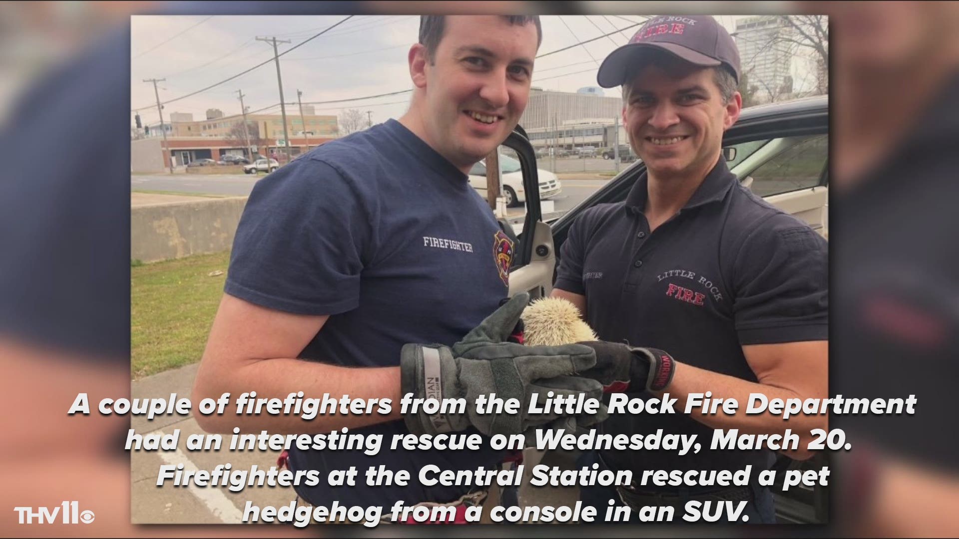 Little Rock firefighters rescue pet hedgehog tapped in car