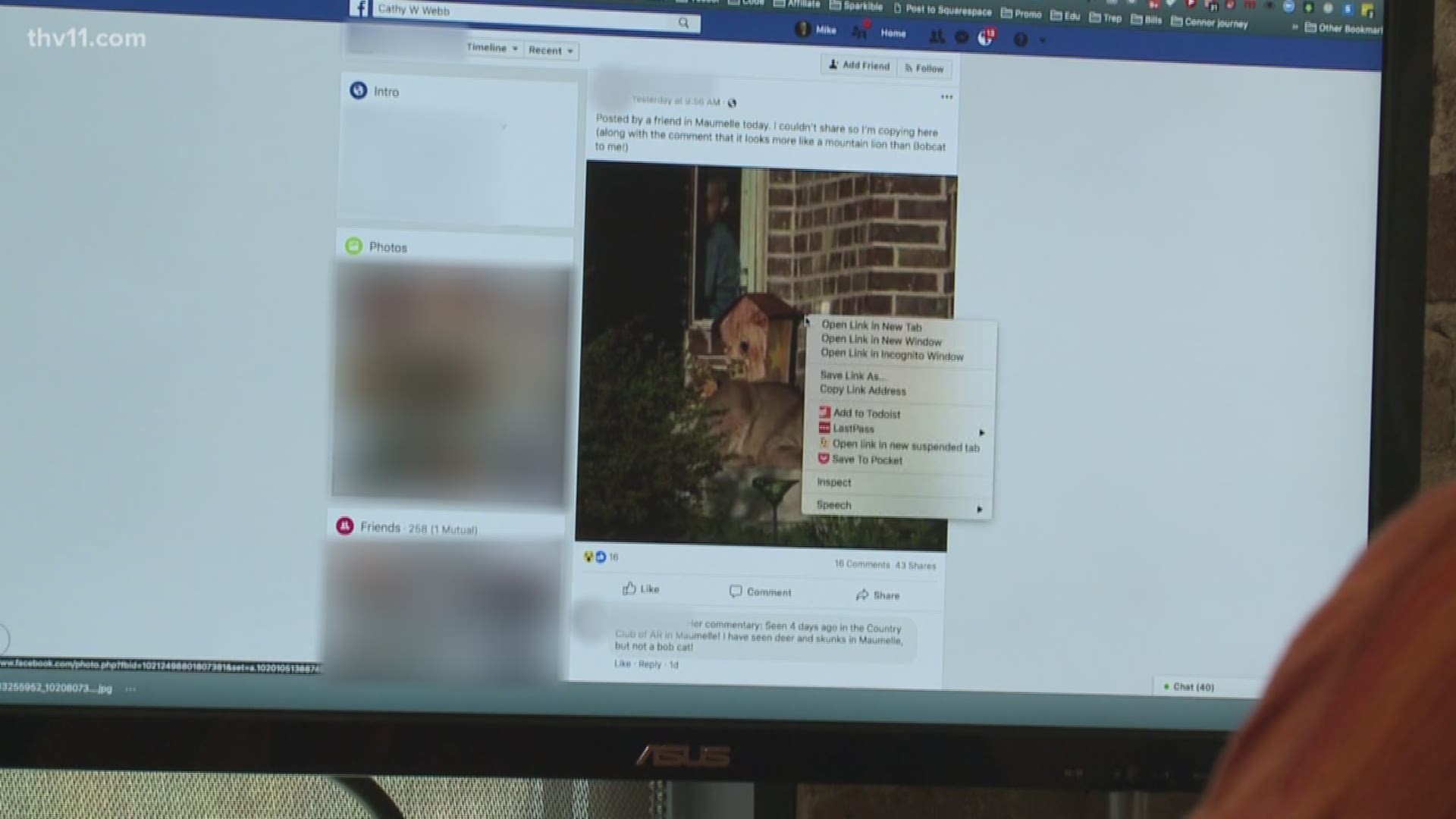 Debunking photo of mountain lion on front porch