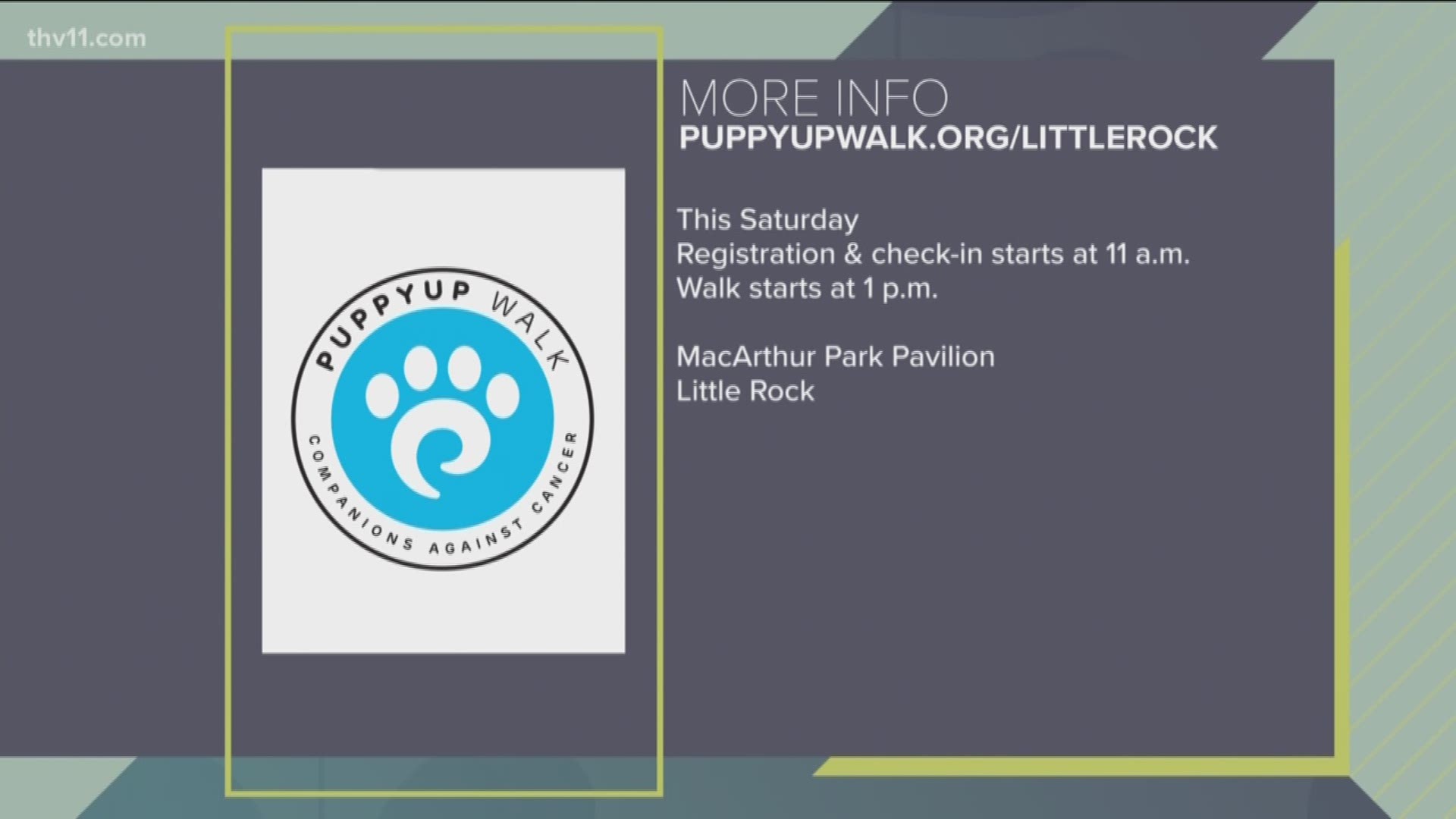 The 9th Annual 'Puppy Up Walk' to raise awareness and money for canine cancer research.