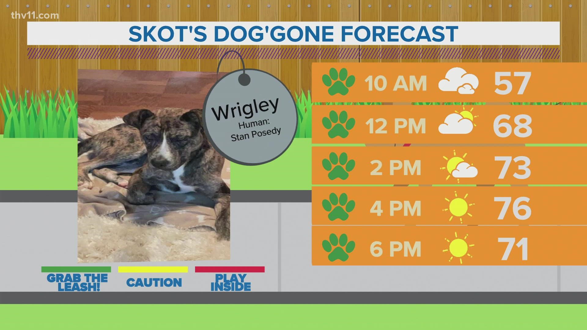 Wrigley | Skot's dog'gone forecast
