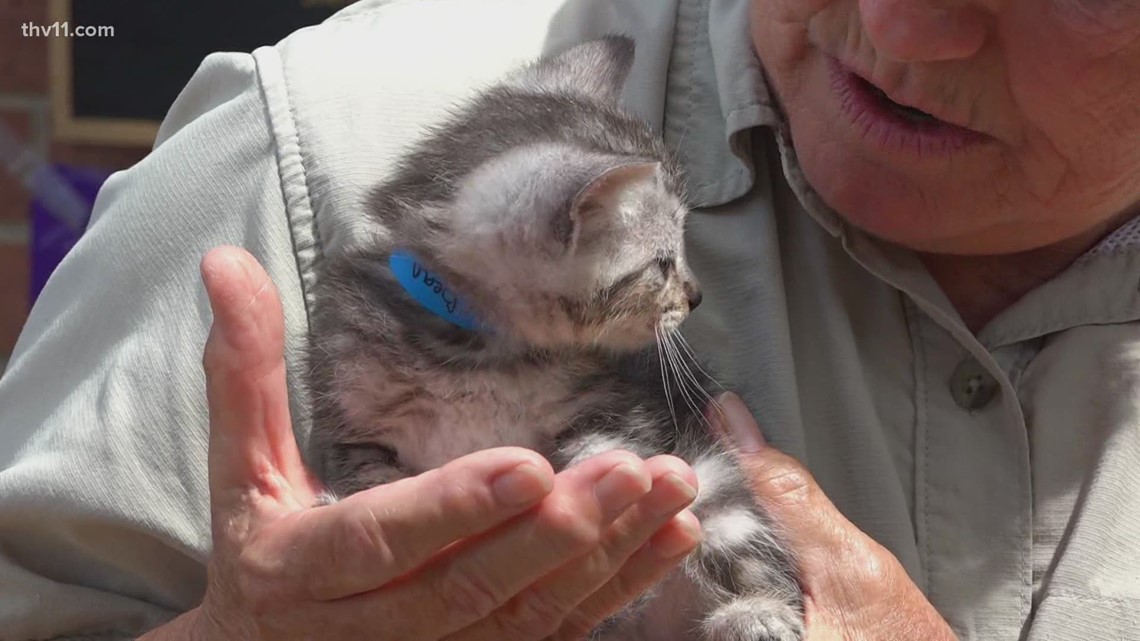 Arkansas animal shelter using unique names to attract adoptions