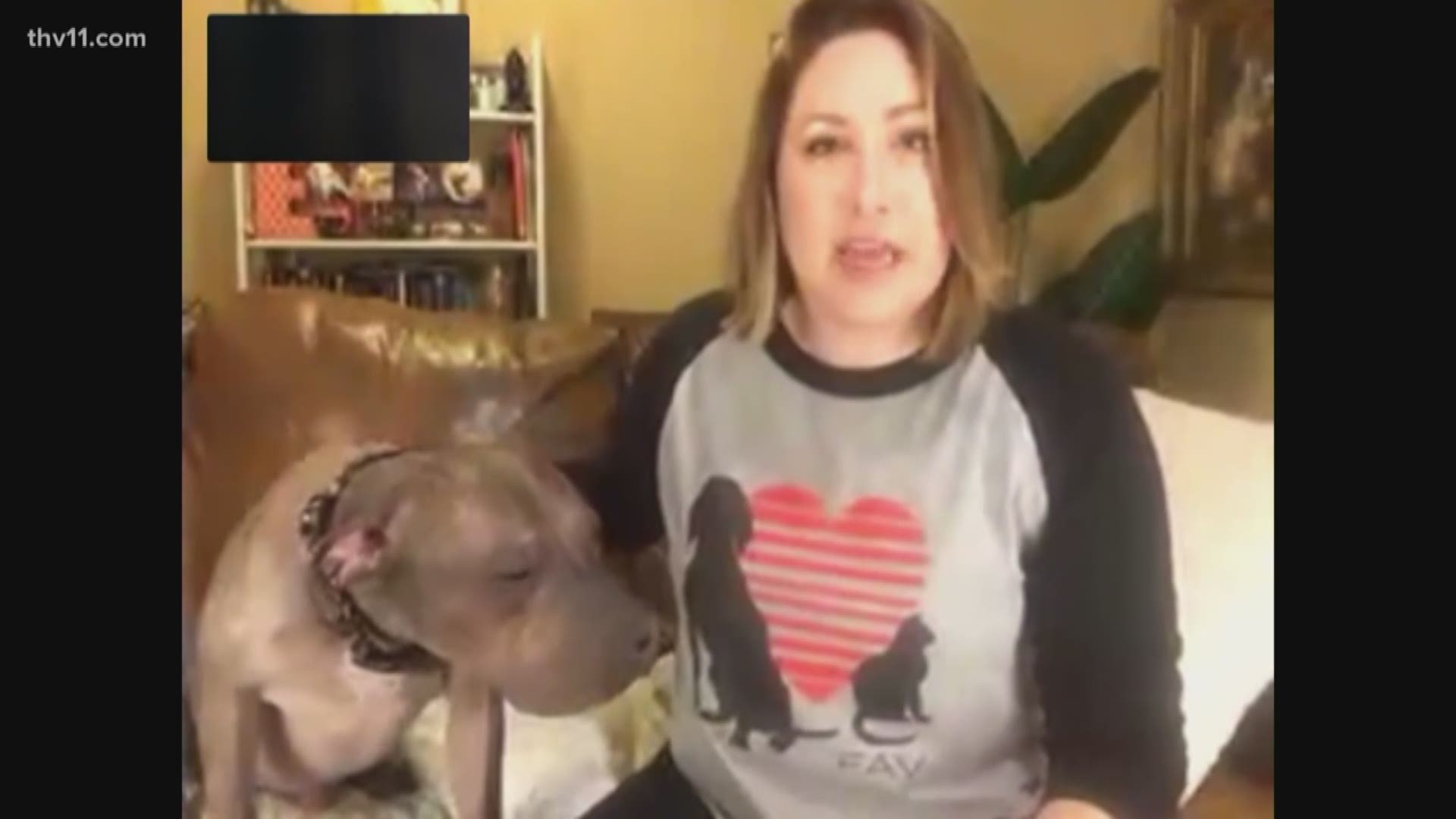 Betsy Robb with Friends of the Animal Village in Little Rock joins via FaceTime to talk about their response to the virus.