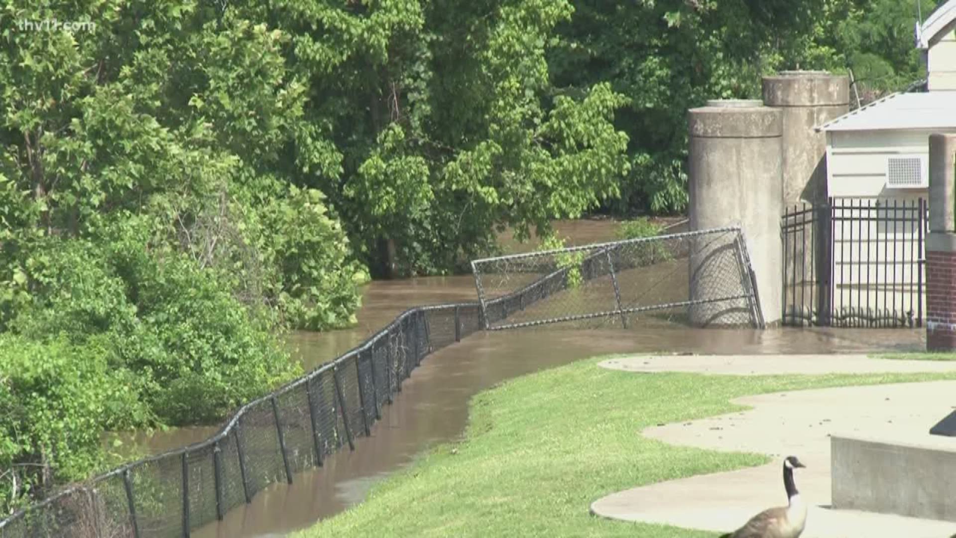 People are flocking to Riverfront Park in Downtown Little Rock to see the sight for themselves.