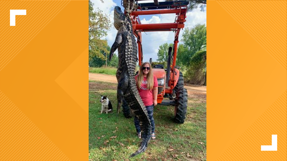 Plucky Former Poultry Farmer Goes Wild For Gators