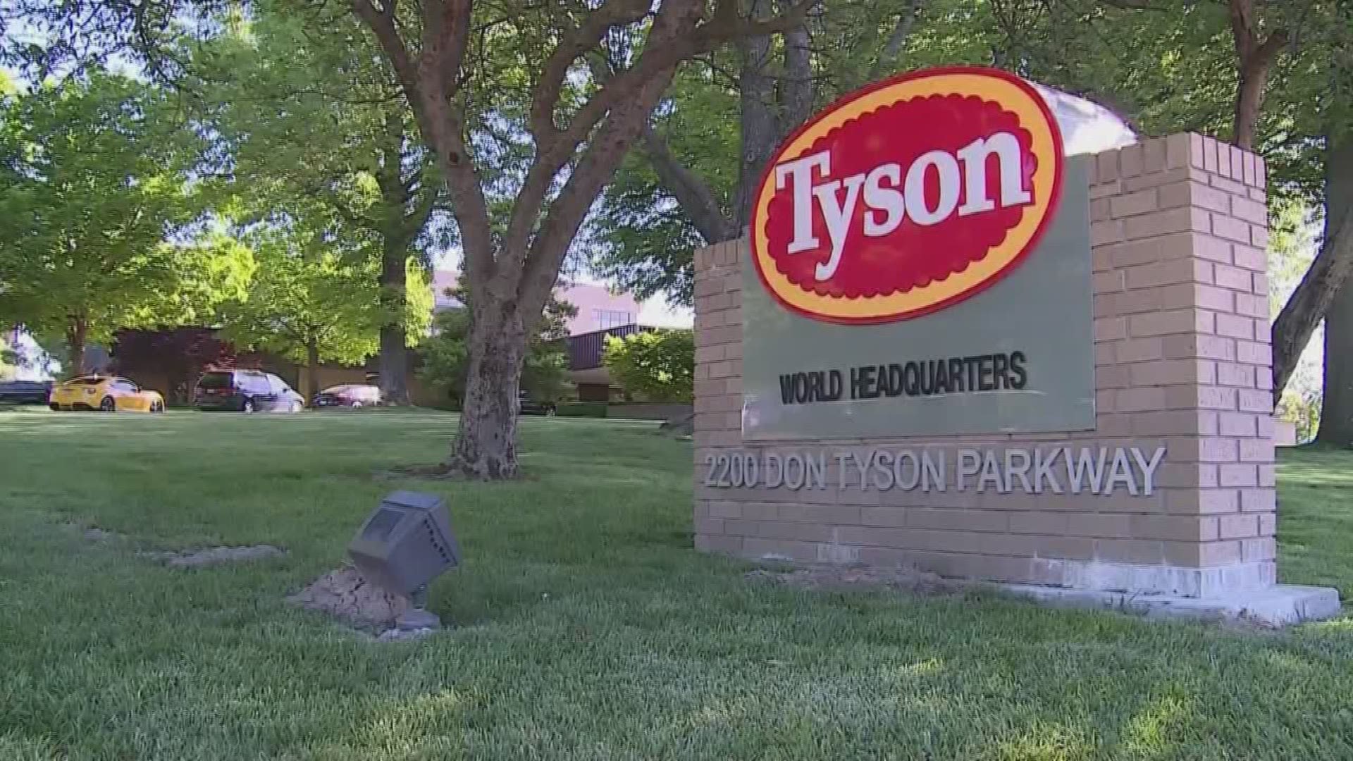 Tyson claims tariffs are primarily affecting chicken and pork prices, after countries that import meant put retaliatory tariffs in place.