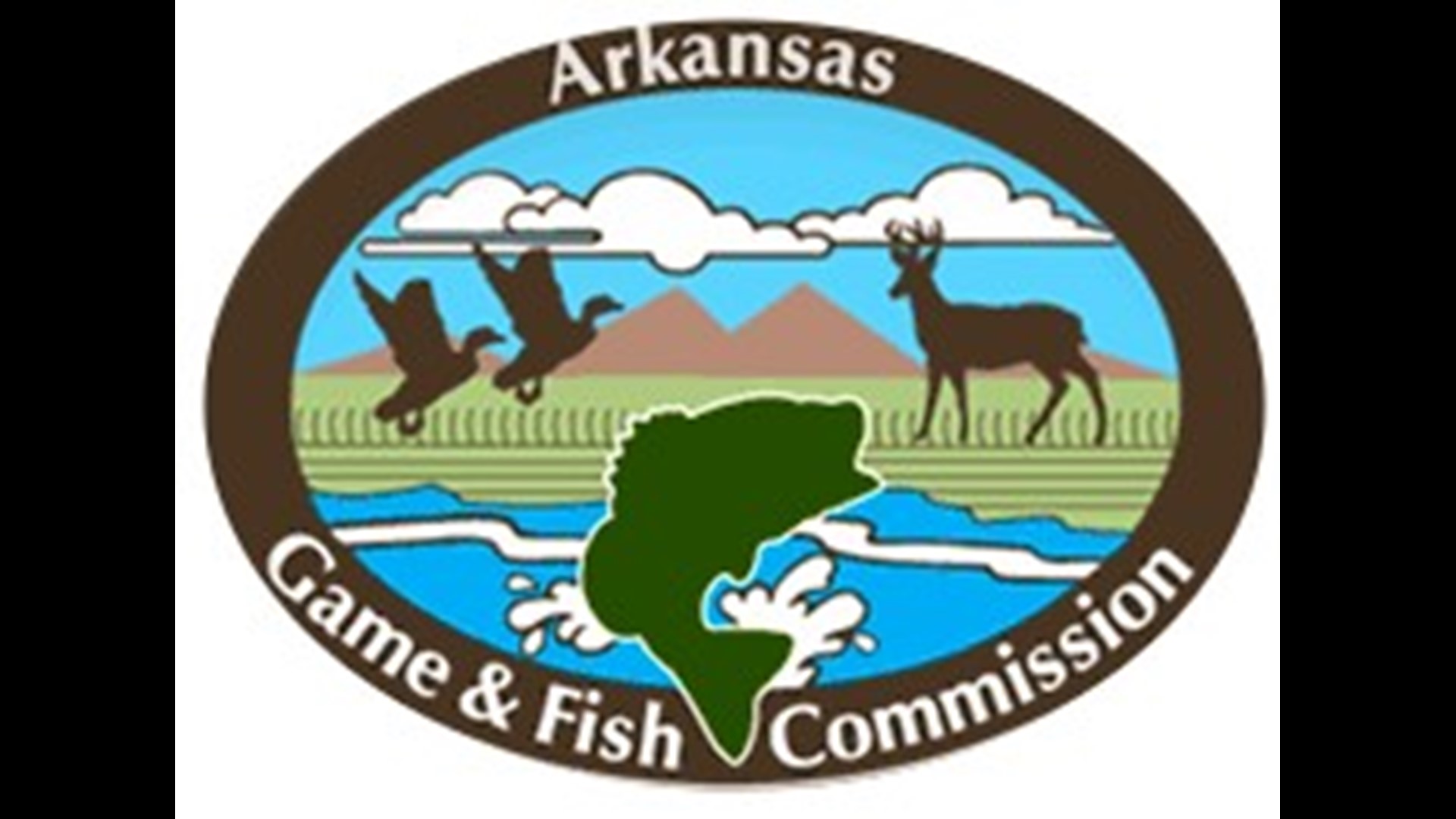 Arkansas Game And Fish Commission Begins Search For New Director arkansas-game-and-fish-commission-begins-search-for-new-director