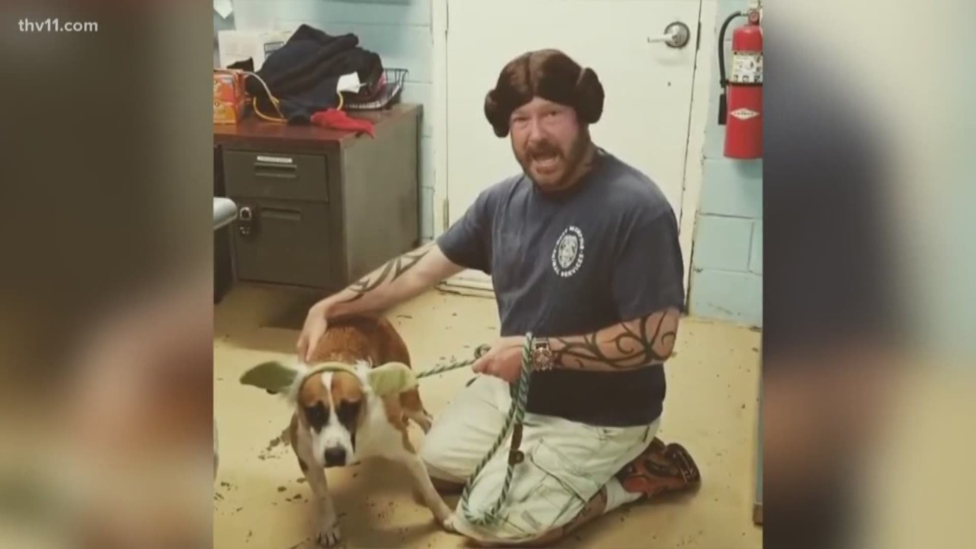 West Memphis Animal Shelter uses creative videos to encourage dog adoptions  