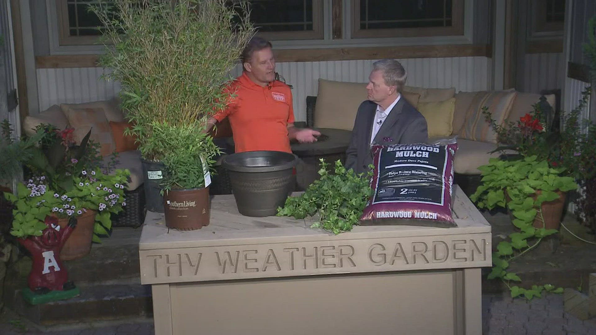 Chris H. Olsen joined THV11 This Morning to tell us how to stop invasive plants from taking over