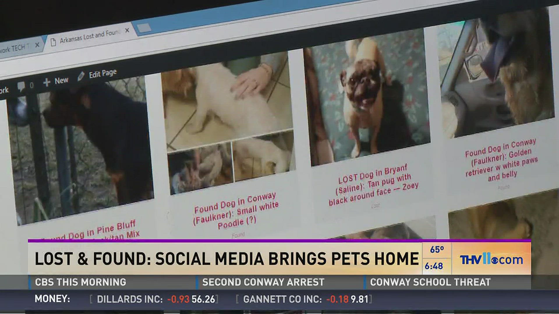 Owners turning to social media to bring missing pets home