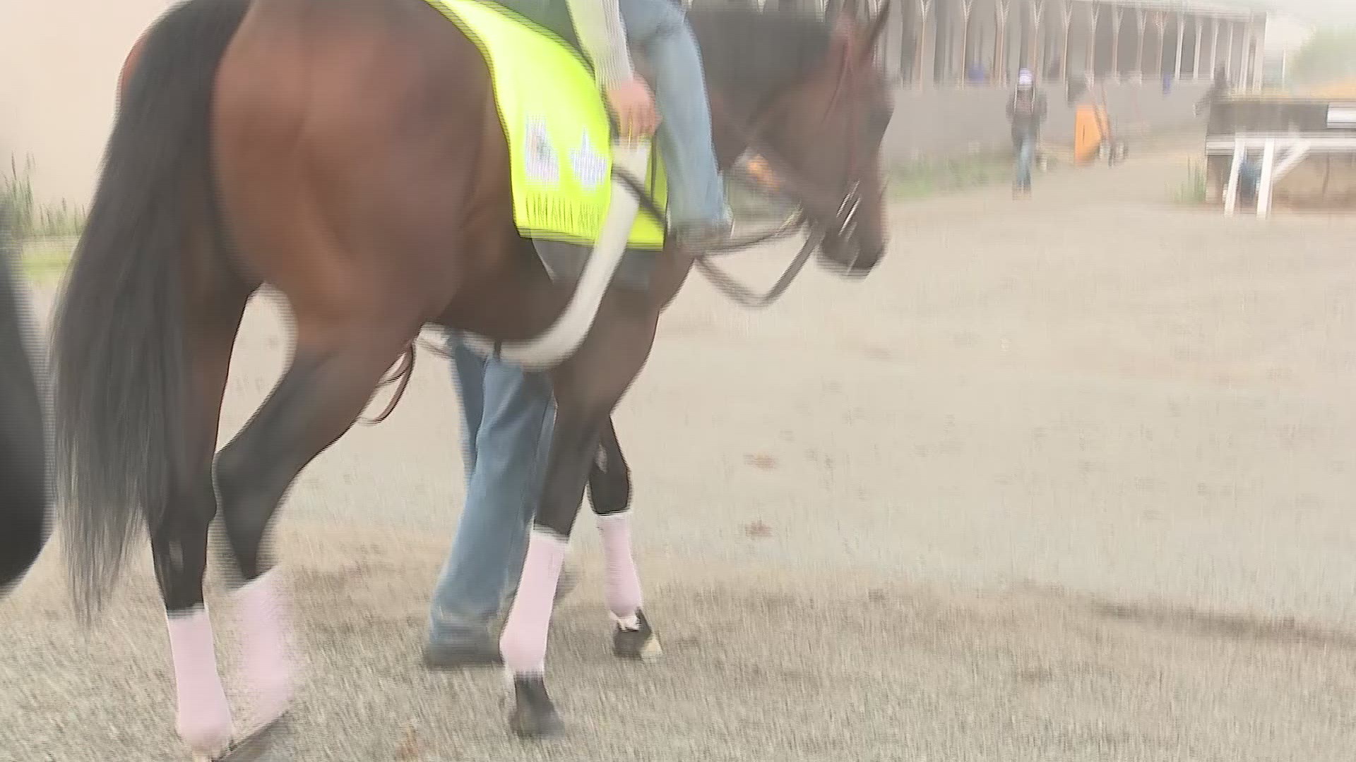 The Arkansas Derby works at Churchill Downs ahead of the Kentucky Derby