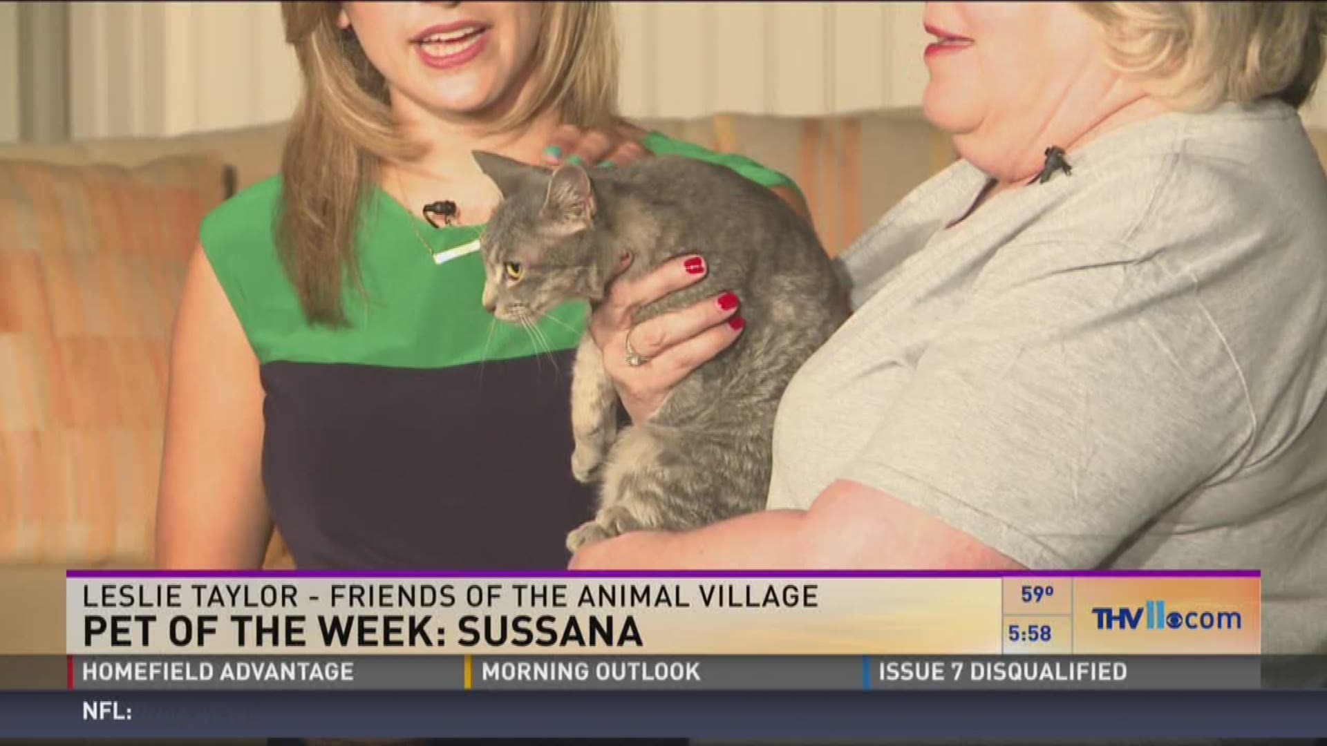 Leslie Taylor from Friends of the Animal Village visited THV This Morning with Sussana