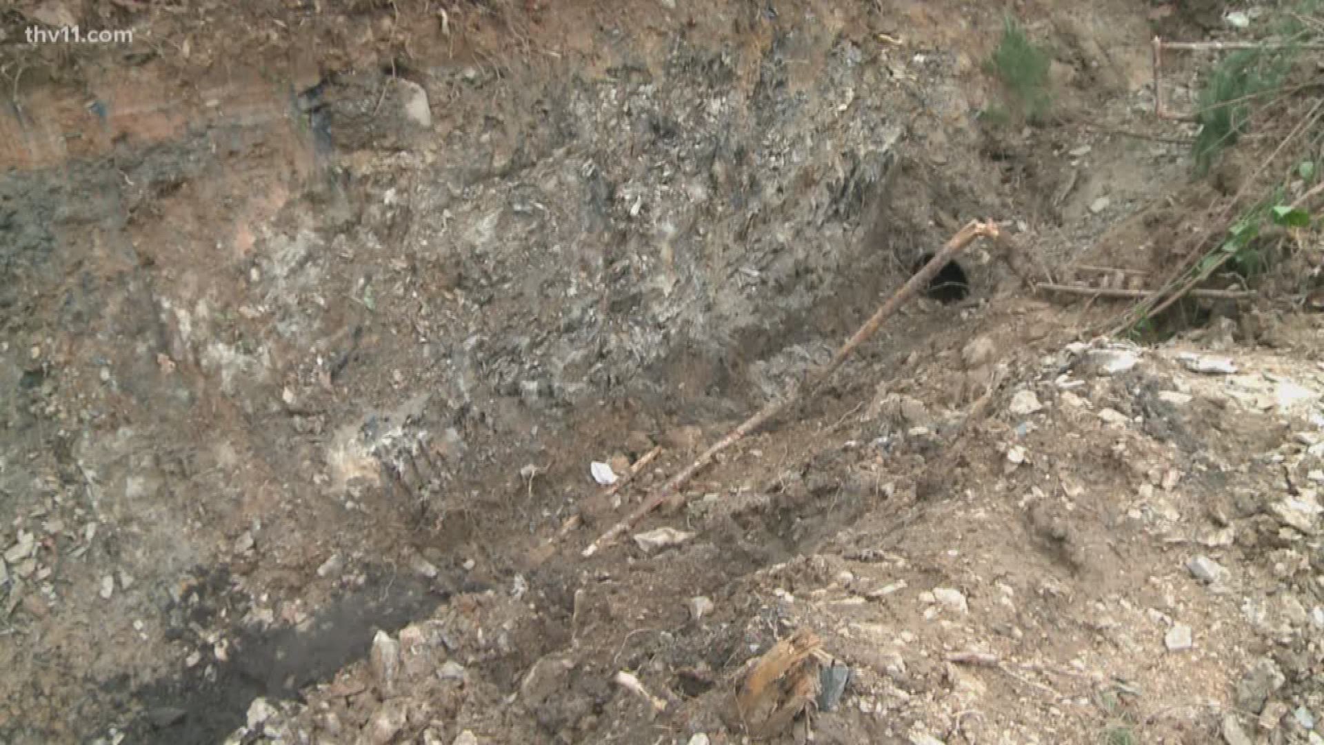 Human remains identified as Ebby Steppach